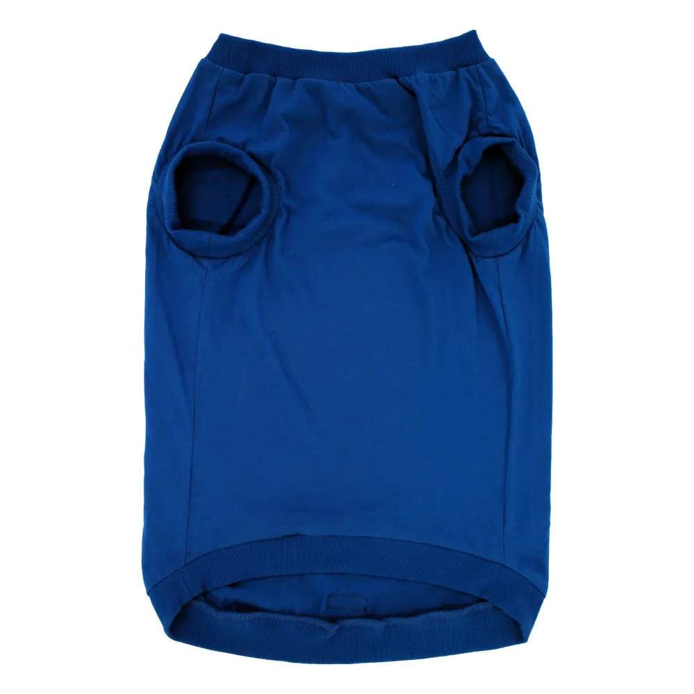 Pawpourri Tiny Influencer T Shirt for Dogs (Blue)